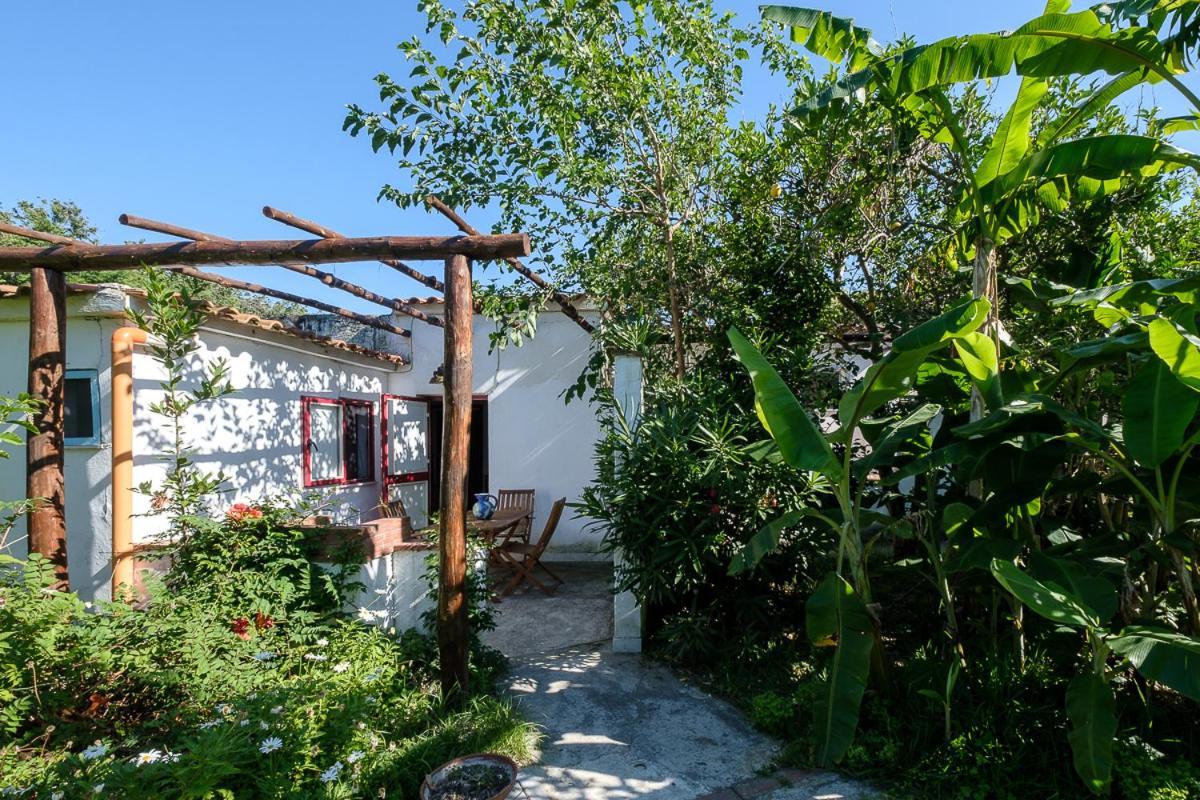 La Rosa Dei Venti Aparthotel Procida Exteriör bild