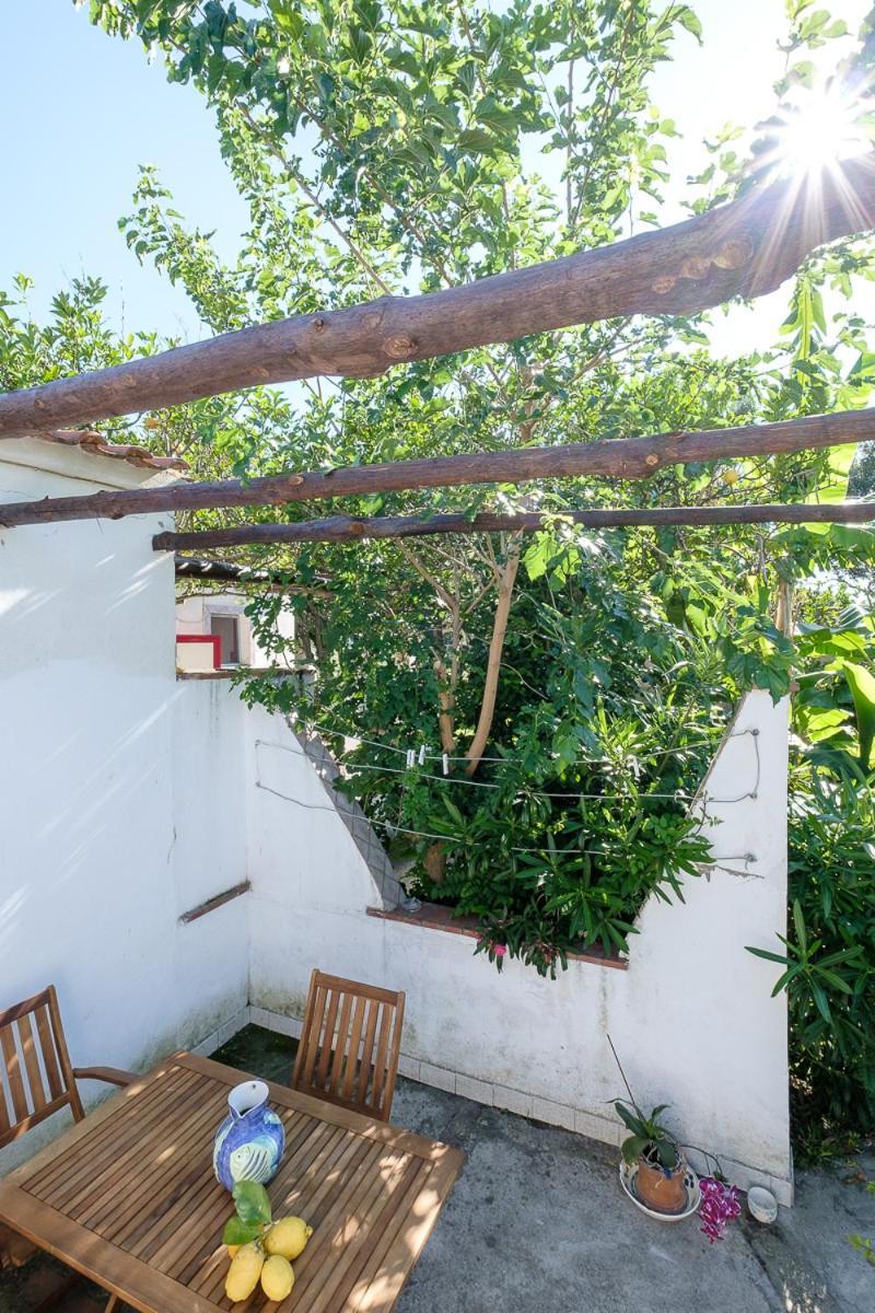 La Rosa Dei Venti Aparthotel Procida Exteriör bild